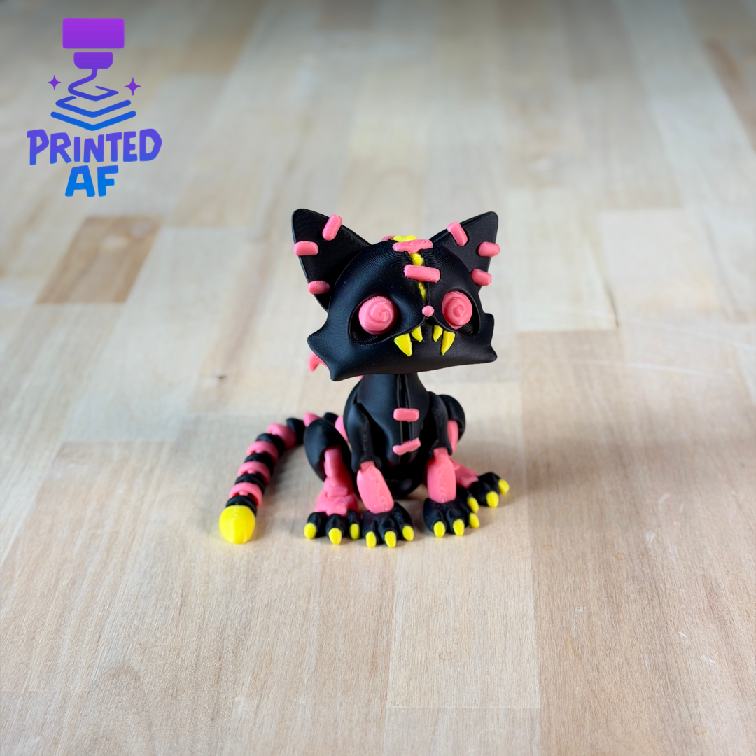 Spooky Cat